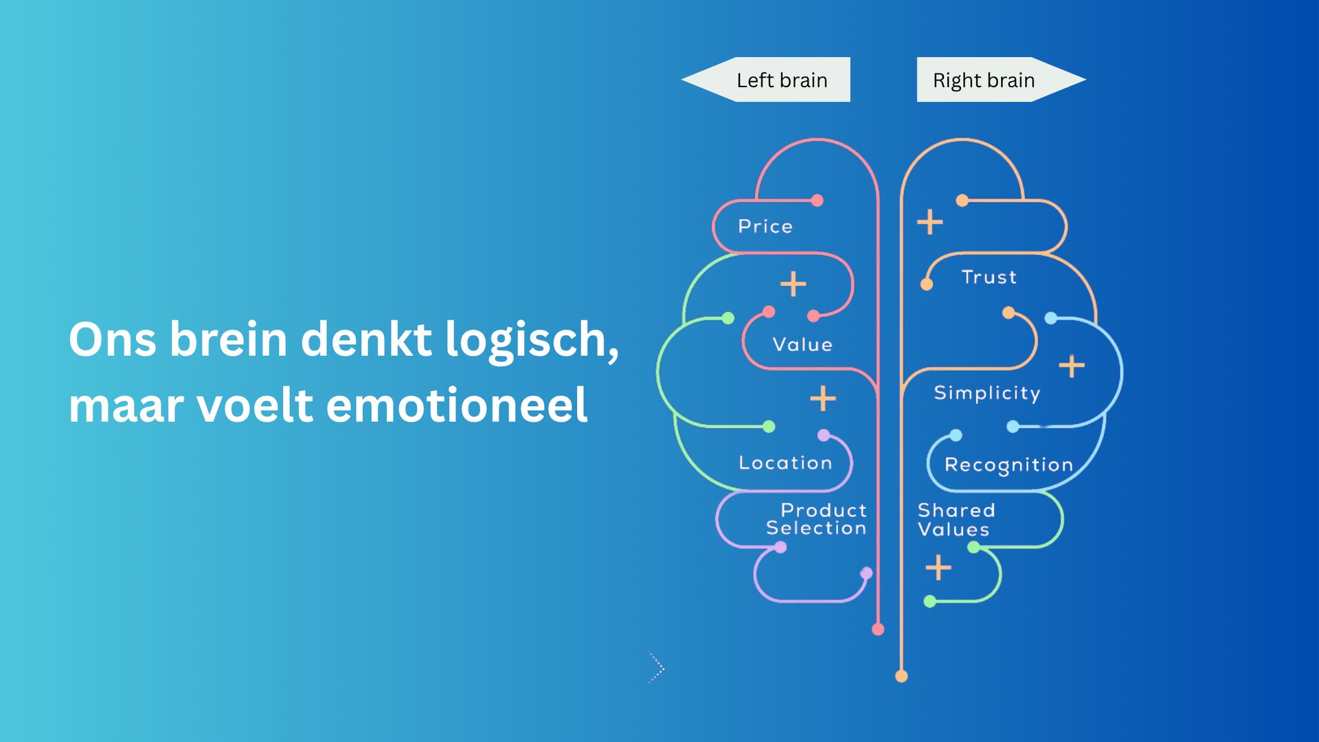 Ons brein denkt logisch, maar voelt emotioneel